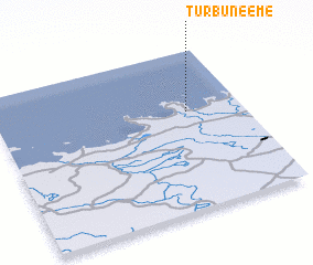 3d view of Turbuneeme