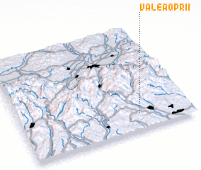 3d view of Valea Oprii