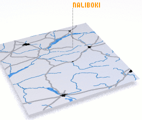 3d view of Naliboki