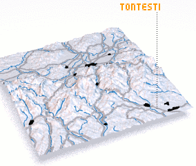 3d view of Ţonteşti