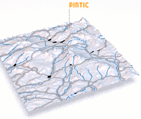 3d view of Pintic