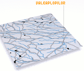 3d view of Valea Plopilor