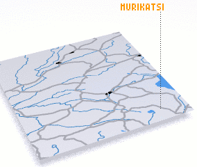 3d view of Murikatsi