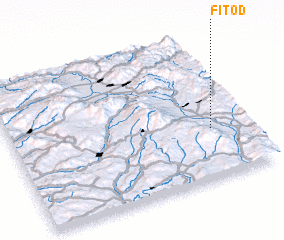 3d view of Fitod