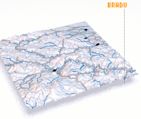 3d view of Bradu