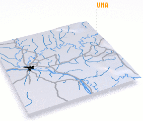 3d view of Uma