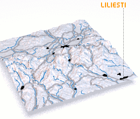 3d view of Lilieşti