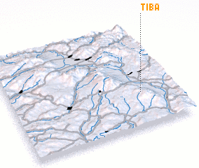 3d view of Ţiba