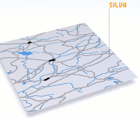 3d view of Silva