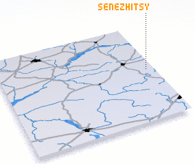 3d view of Senezhitsy