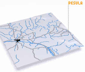 3d view of Pesula