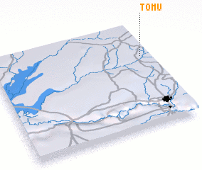 3d view of Tomu