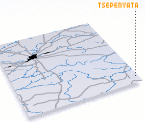 3d view of Tsepenyata