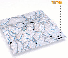 3d view of Ţintea