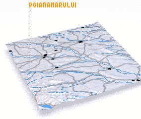 3d view of Poiana Mărului