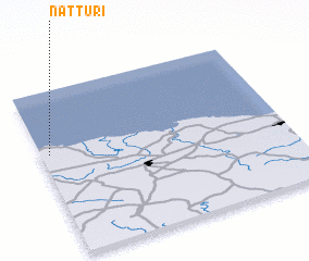 3d view of Natturi