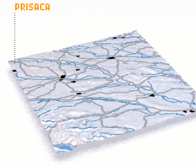 3d view of Prisaca