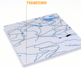 3d view of Tokarishki