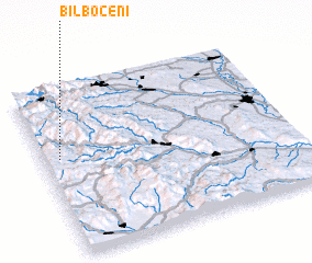 3d view of Bilboceni