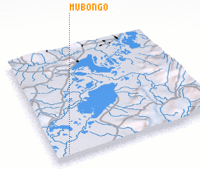 3d view of Mubongo