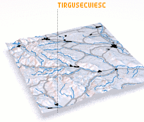 3d view of Tîrgu Secuiesc