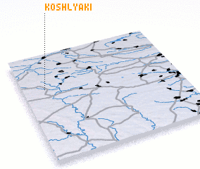 3d view of Koshlyaki
