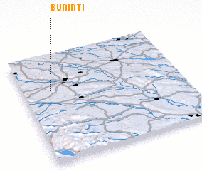 3d view of Buninţi