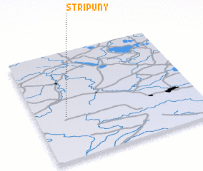 3d view of Stripuny