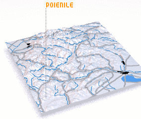 3d view of Poienile