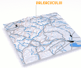 3d view of Valea Cucului