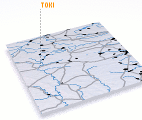 3d view of Toki