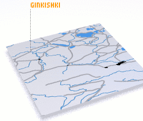 3d view of Ginkishki