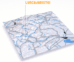 3d view of Lunca Jariştei