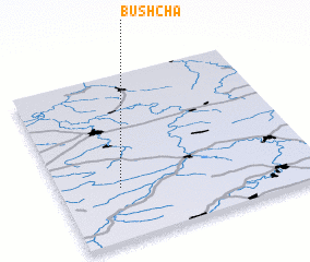 3d view of Bushcha