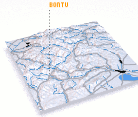 3d view of Bonţu