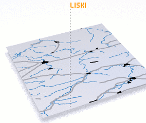 3d view of Liski