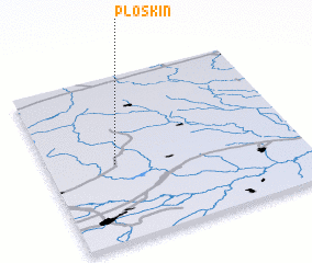 3d view of Ploskinʼ