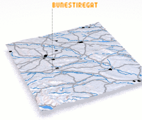 3d view of Buneşti-Regat