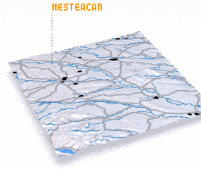 3d view of Mesteacăn