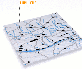 3d view of Turilʼche