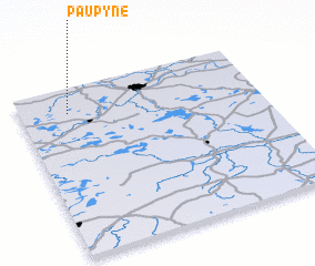 3d view of Paupynė
