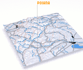 3d view of Poiana