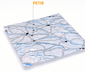 3d view of Petia