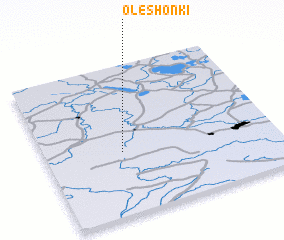 3d view of Oleshonki