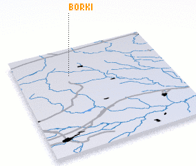 3d view of Borki