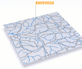 3d view of Bakponga