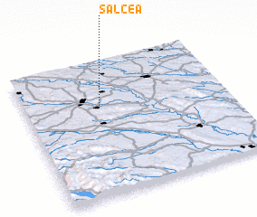 3d view of Salcea