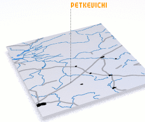 3d view of Petkevichi