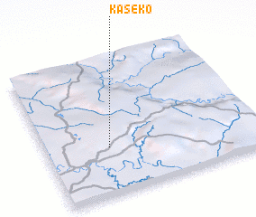 3d view of Kaseko