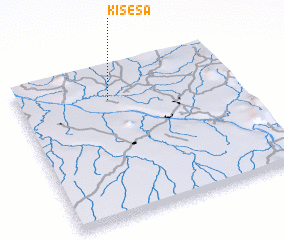 3d view of Kisesa